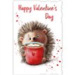 C75-I CUTE MALE OPEN VALENTINES 6S