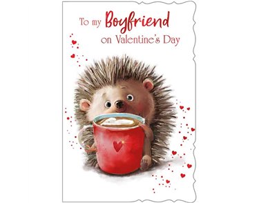 C75-I CUTE MALE BOYFRIEND VALENTINES 6S