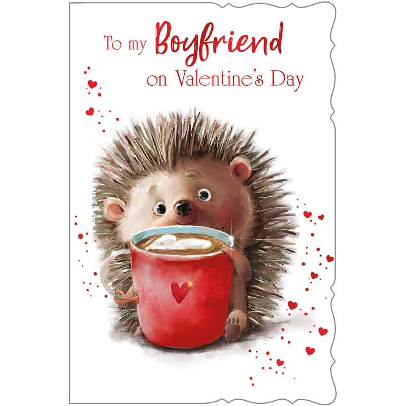 C75-I CUTE MALE BOYFRIEND VALENTINES 6S