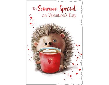 C75-I CUTE MALE SOMEONE SPECIAL VALENTINES 6S