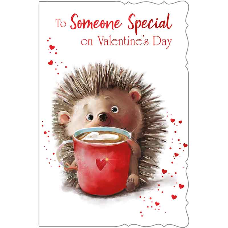 C75-I CUTE MALE SOMEONE SPECIAL VALENTINES 6S