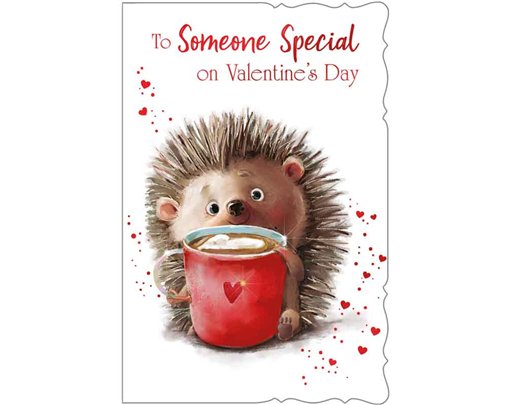 C75-I CUTE MALE SOMEONE SPECIAL VALENTINES 6S