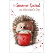 C75-I CUTE MALE SOMEONE SPECIAL VALENTINES 6S