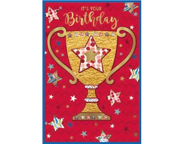 C50 CONTEMPORARY MALE BIRTHDAY SIMON ELVIN 6S
