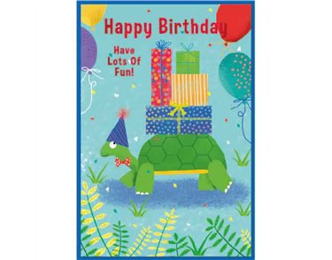 C50 JUVENILE BOY BIRTHDAY SIMON ELVIN 6S