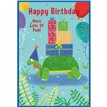 C50 JUVENILE BOY BIRTHDAY SIMON ELVIN 6S