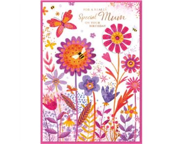 C50 TRAD MUM ISABELS GARDEN 6S
