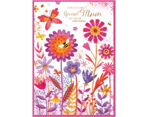 C50 TRAD MUM ISABELS GARDEN 6S