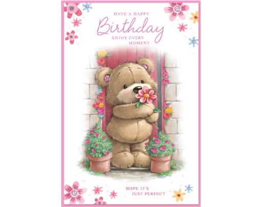 C75 CUTE FEMALE BIRTHDAY SIMON ELVIN 6S
