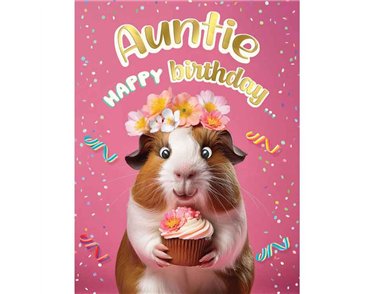 C50 AUNTIE BIRTHDAY CHUCKLES 6S