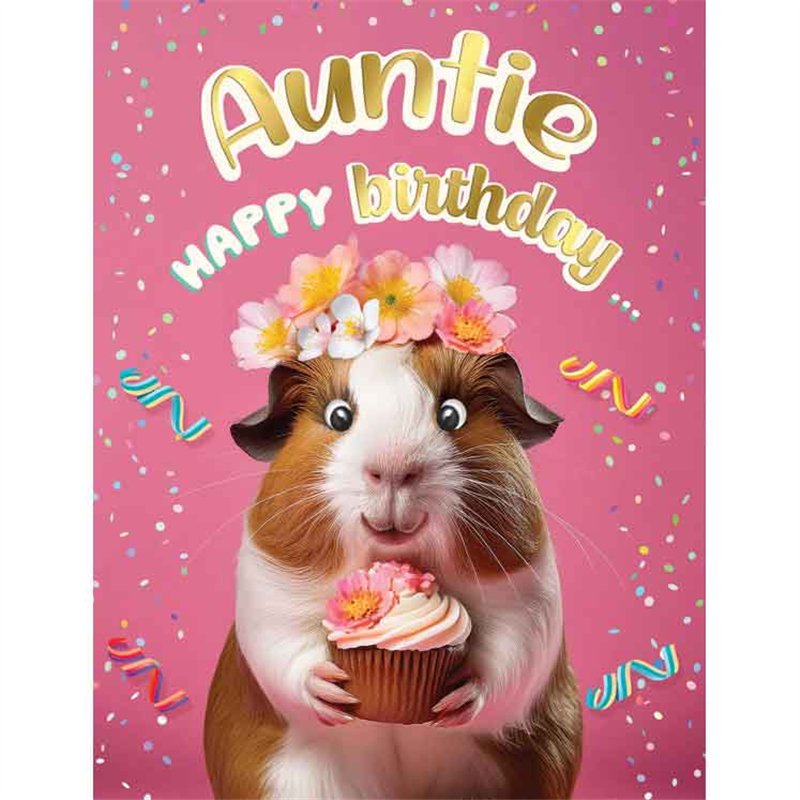 C50 AUNTIE BIRTHDAY CHUCKLES 6S