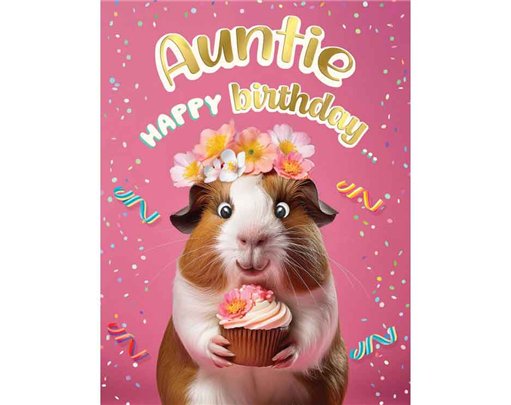 C50 AUNTIE BIRTHDAY CHUCKLES 6S