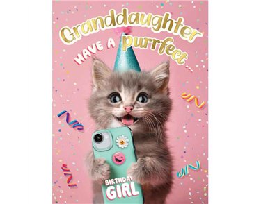 C50 GRANDDAUGHTER BIRTHDAY CHUCKLES 6S