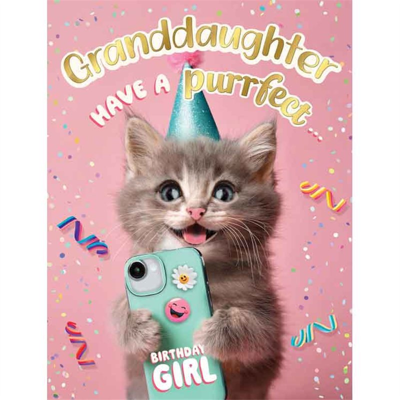 C50 GRANDDAUGHTER BIRTHDAY CHUCKLES 6S