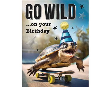 C50 MALE BIRTHDAY TORTOISE CHUCKLES 6S
