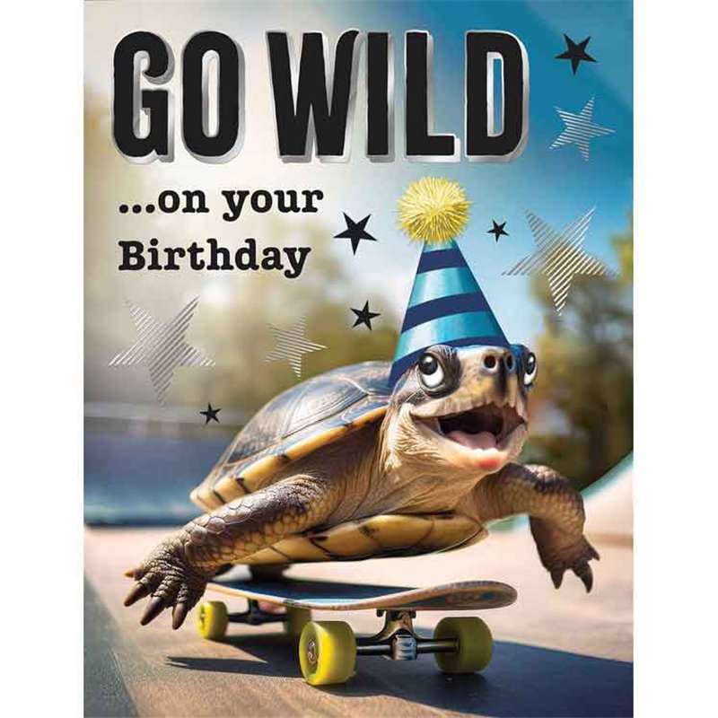C50 MALE BIRTHDAY TORTOISE CHUCKLES 6S