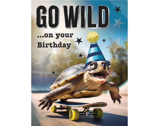 C50 MALE BIRTHDAY TORTOISE CHUCKLES 6S