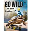 C50 MALE BIRTHDAY TORTOISE CHUCKLES 6S