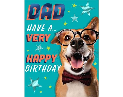 C50 DAD BIRTHDAY CHUCKLES 6S