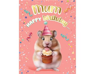 C50 MUM BIRTHDAY CHUCKLES 6S