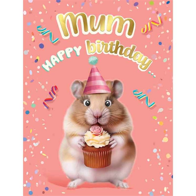 C50 MUM BIRTHDAY CHUCKLES 6S