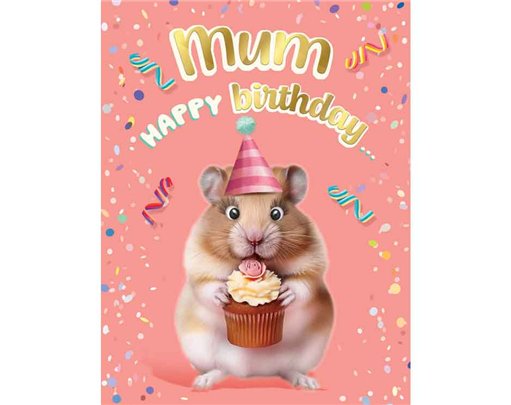 C50 MUM BIRTHDAY CHUCKLES 6S