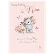 C75 NAN BIRTHDAY DELIGHT 6S