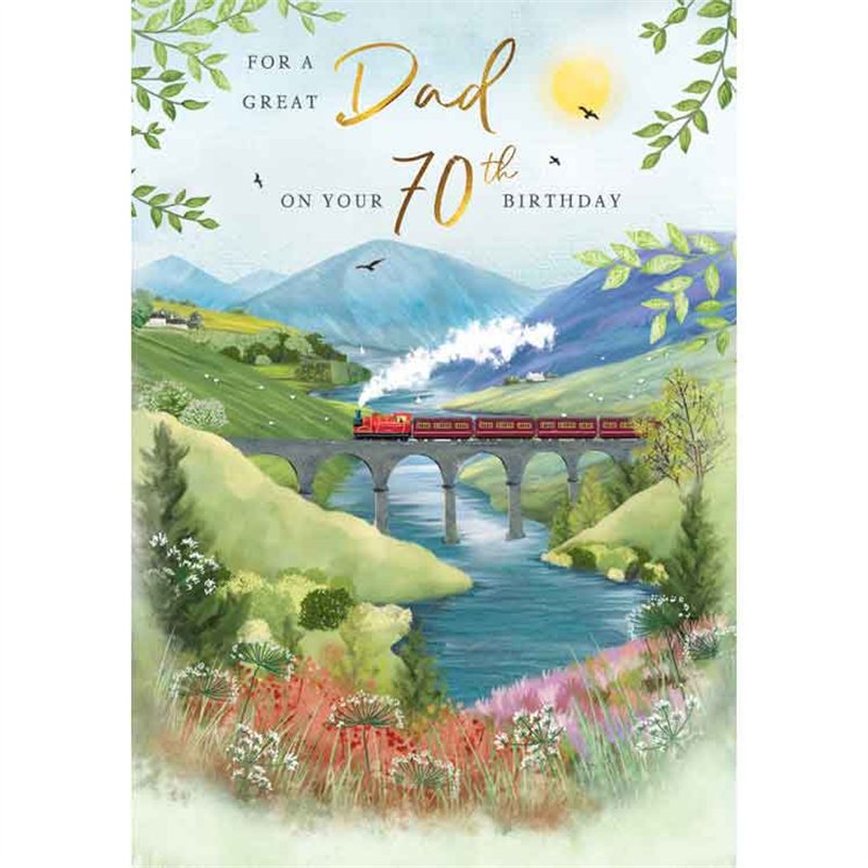 C75 AGE 70 DAD BIRTHDAY TRAIN MEMORY LANE 6S