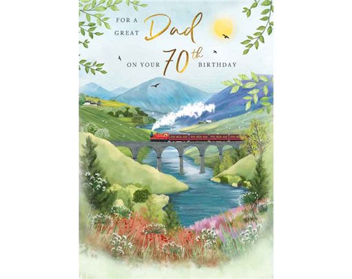 C75 AGE 70 DAD BIRTHDAY TRAIN MEMORY LANE 6S