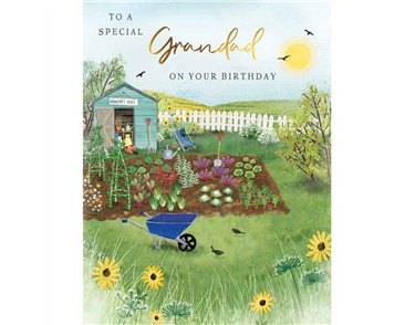 C50 GRANDAD BIRTHDAY VEG PATCH MEMORY LANE 6S