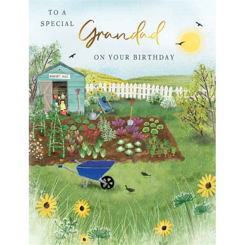 C50 GRANDAD BIRTHDAY VEG PATCH MEMORY LANE 6S