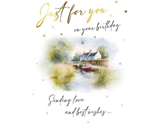 C50 MALE BIRTHDAY RIVER SCENE VISAGE 6S