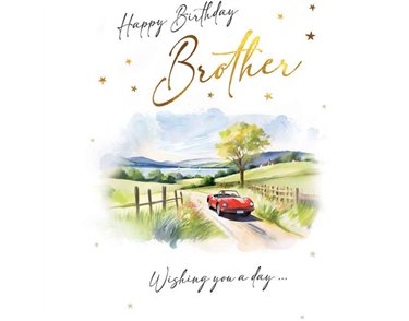 C50 BROTHER BIRTHDAY CAR VISAGE 6S