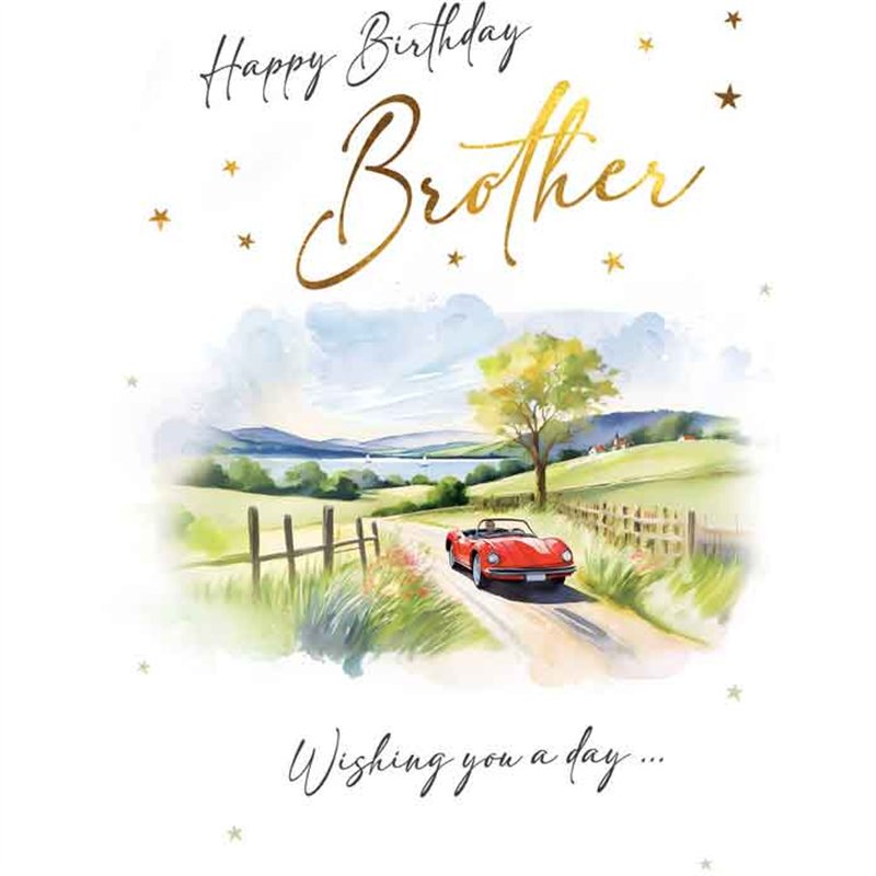 C50 BROTHER BIRTHDAY CAR VISAGE 6S