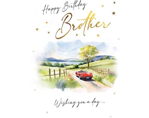 C50 BROTHER BIRTHDAY CAR VISAGE 6S