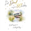 C75 AGE 80 DAD BIRTHDAY RIVER SCENE VISAGE 6S
