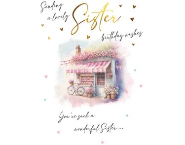 C75 SISTER BIRTHDAY SHOP VISAGE 6S
