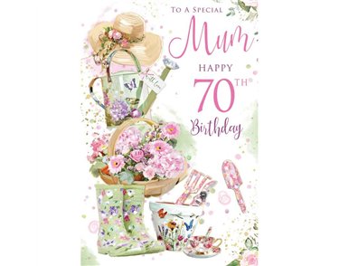 C75 AGE 70 MUM KINGFISHER 6S