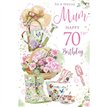 C75 AGE 70 MUM KINGFISHER 6S