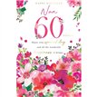 C75 AGE 60 NAN KINGFISHER 6S
