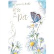 C50 SYMPATHY LOSS PET AURA 6S