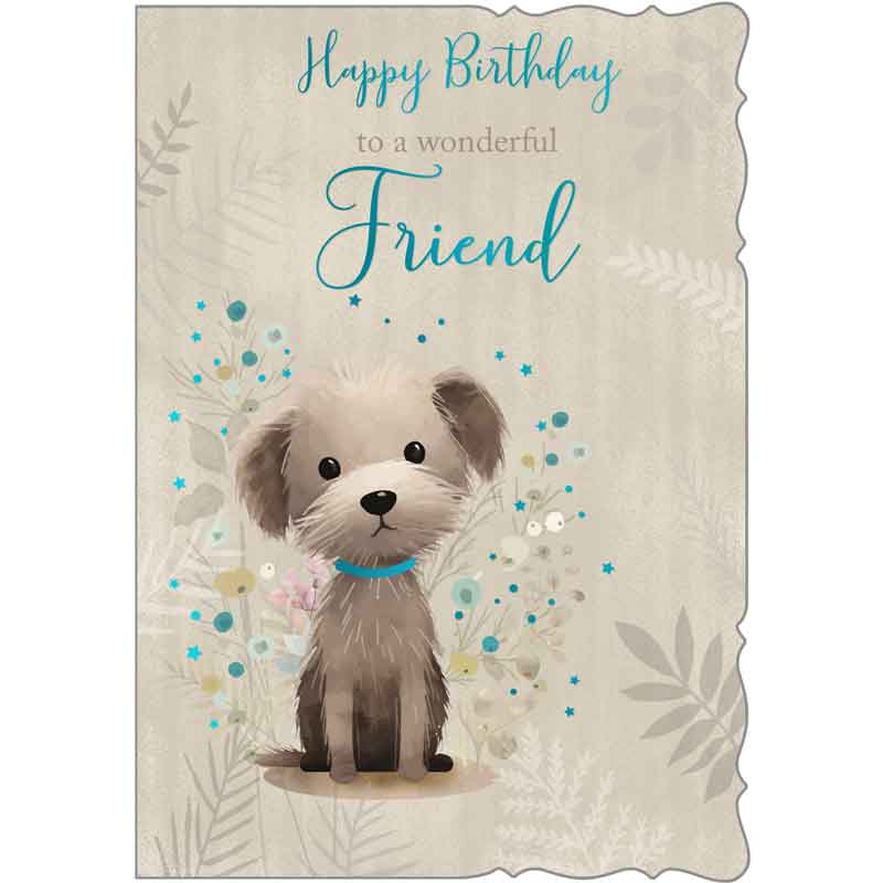 C50 CUTE MALE FRIEND OOTB 6S