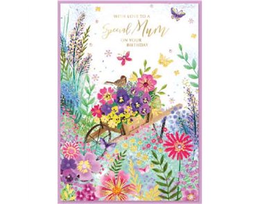 C50 TRAD MUM ISABELS GARDEN 6S