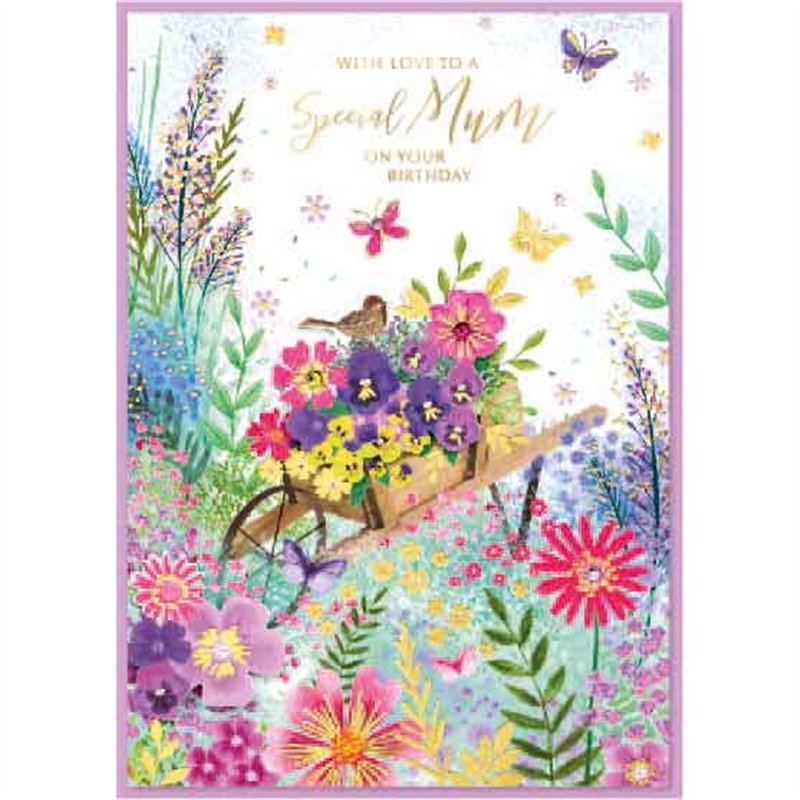 C50 TRAD MUM ISABELS GARDEN 6S