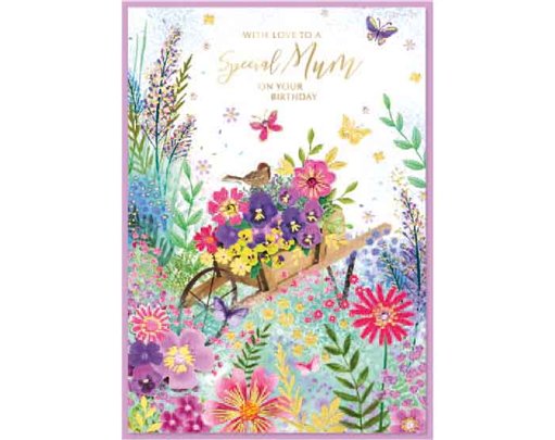 C50 TRAD MUM ISABELS GARDEN 6S