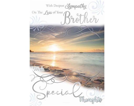 C50 LOSS OF BROTHER TRADITIONAL SILVERLINE 12S