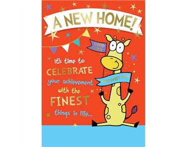 C50 NEW HOME HUMOUR SILVERLINE 12S