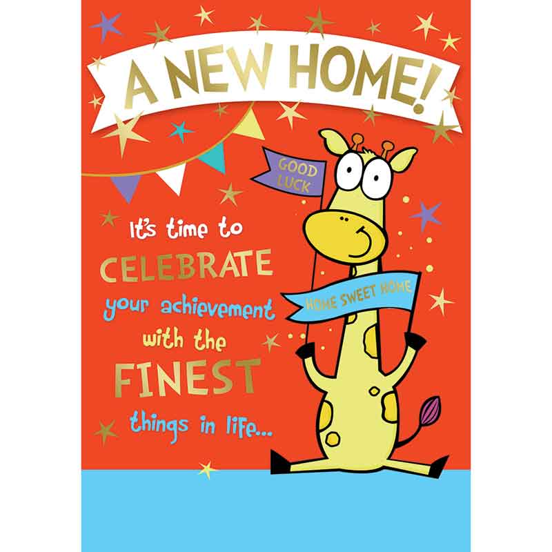 C50 NEW HOME HUMOUR SILVERLINE 12S
