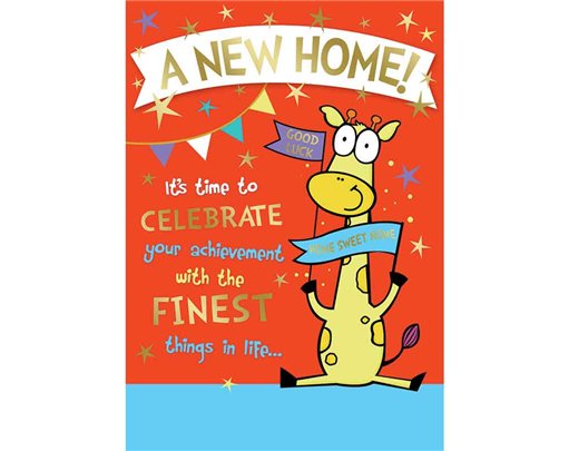 C50 NEW HOME HUMOUR SILVERLINE 12S