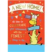C50 NEW HOME HUMOUR SILVERLINE 12S